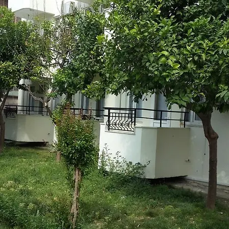 öznur * Side