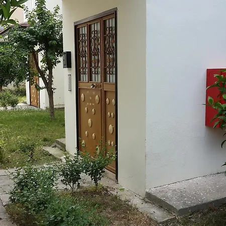 öznur *